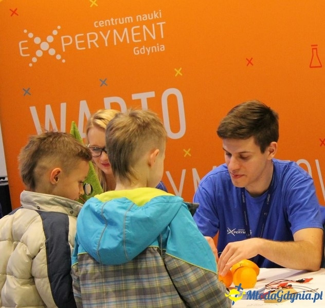 Experyment - grudniowe atrakcje