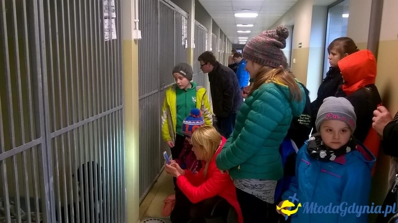 ŁAJBA - W dzień Wigilii - idziemy z darami do Ciapkowa