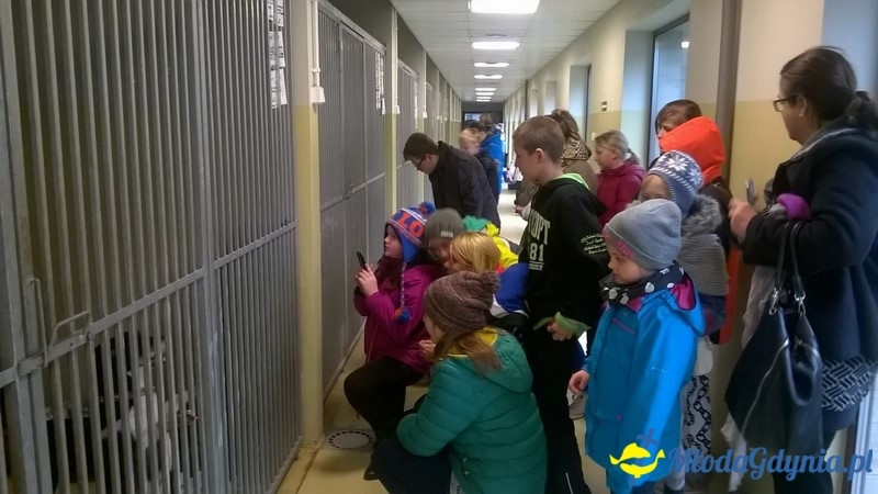 ŁAJBA - W dzień Wigilii - idziemy z darami do Ciapkowa