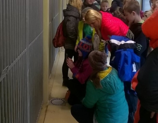 ŁAJBA - W dzień Wigilii - idziemy z darami do Ciapkowa