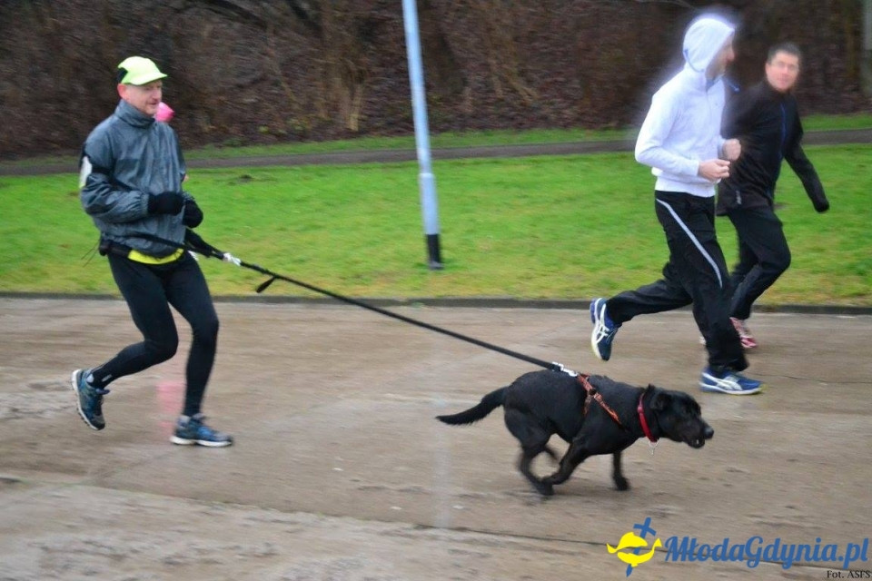 Parkruna Gdynia 207