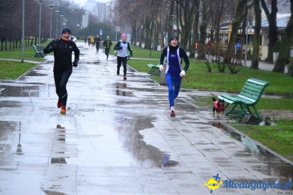 Parkruna Gdynia 207