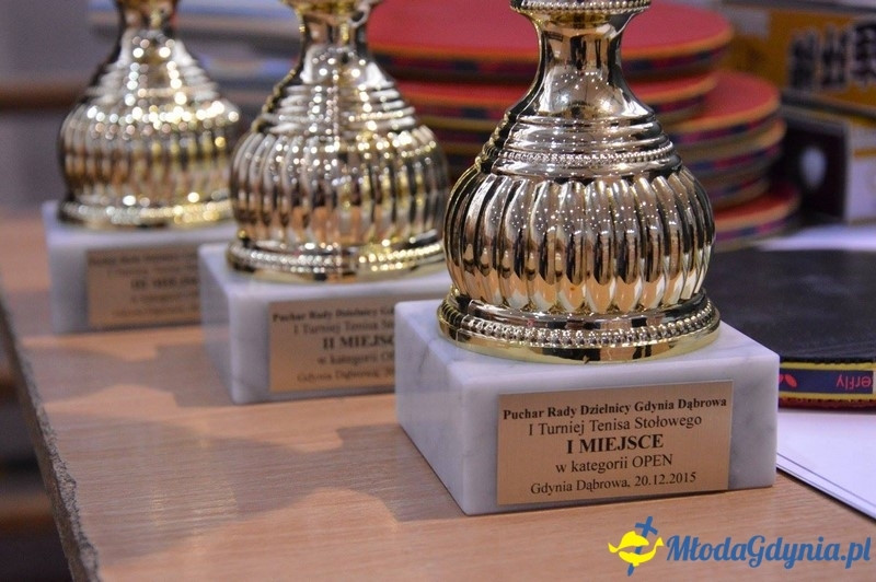 I Turniej Tenisa Stołowego o Puchar Przewodniczącego Rady Dzielnicy Dąbrowa - 2015