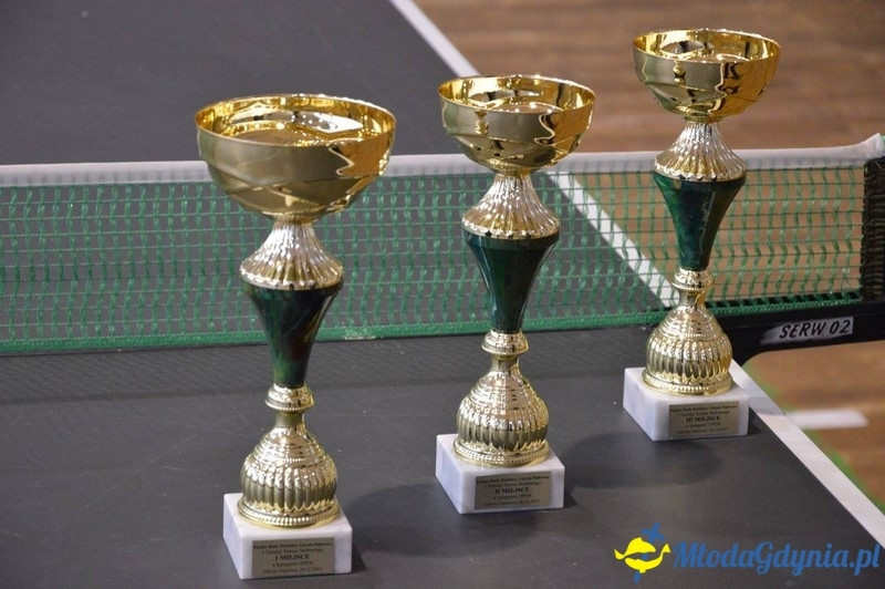 I Turniej Tenisa Stołowego o Puchar Przewodniczącego Rady Dzielnicy Dąbrowa - 2015