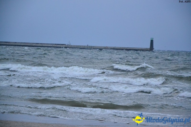 Parkrun Gdynia nr 208