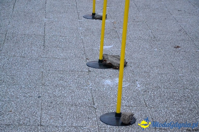 Parkrun Gdynia nr 208