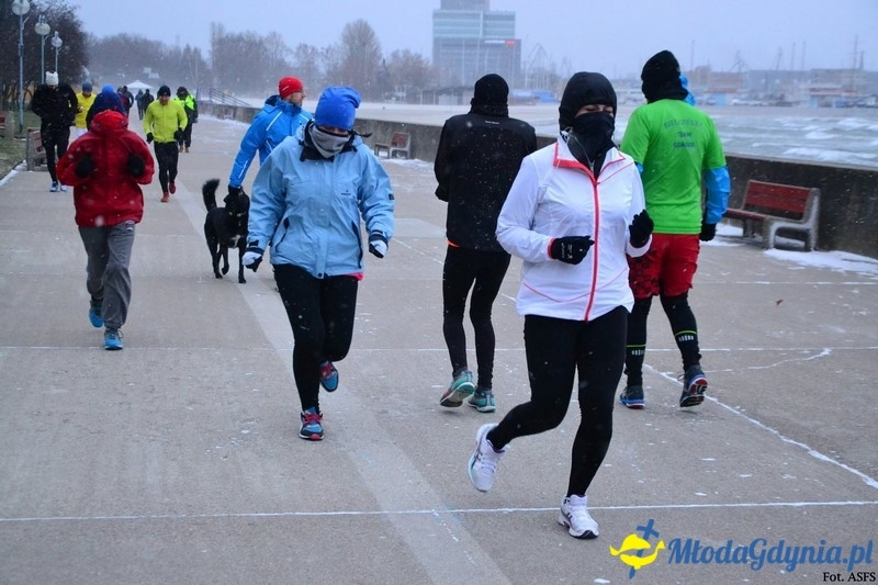 Parkrun Gdynia nr 208