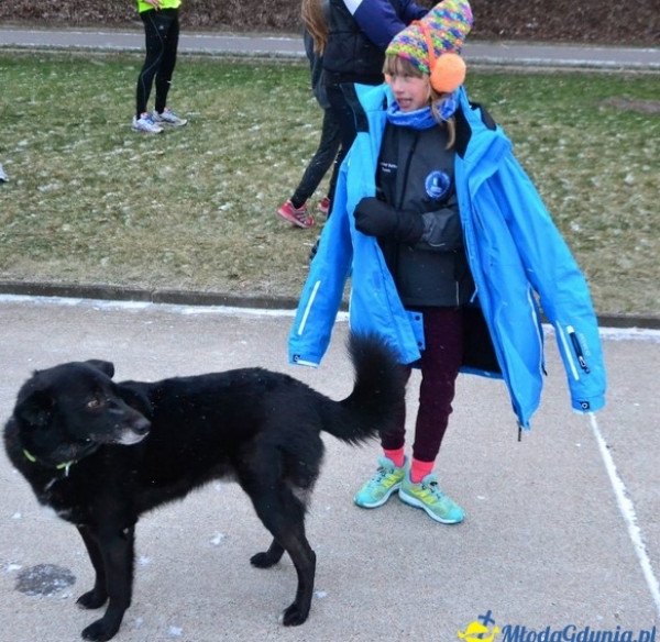 Parkrun Gdynia nr 208