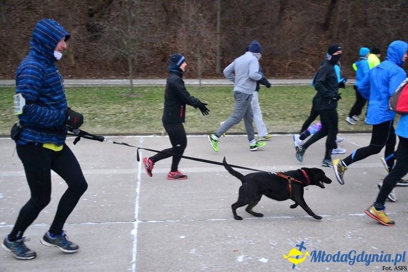 Parkrun Gdynia nr 208