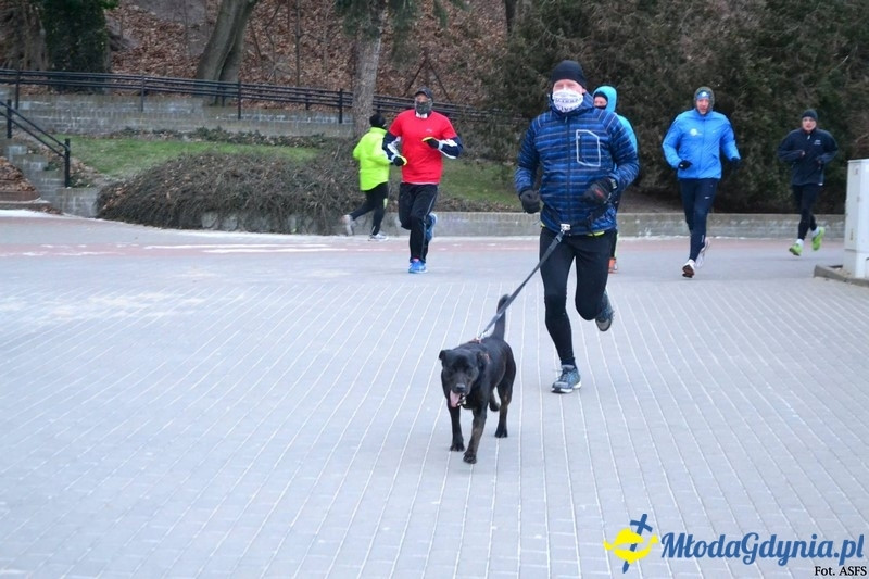 Parkrun Gdynia nr 208