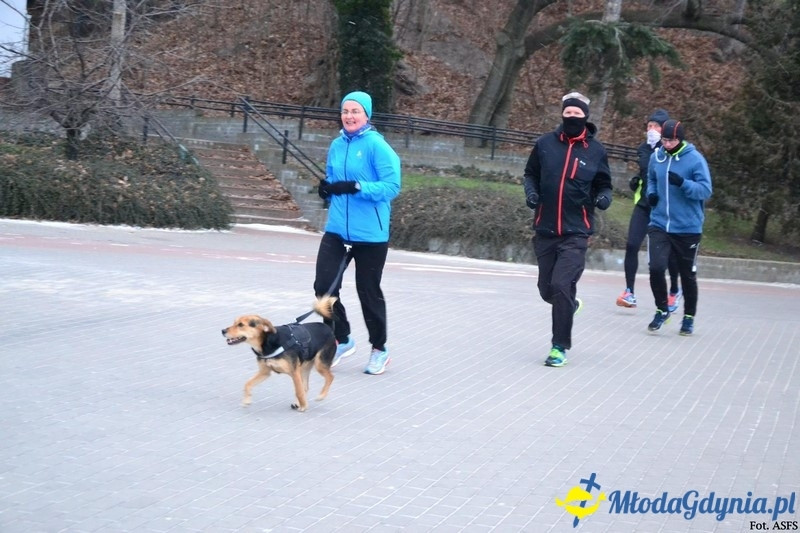 Parkrun Gdynia nr 208