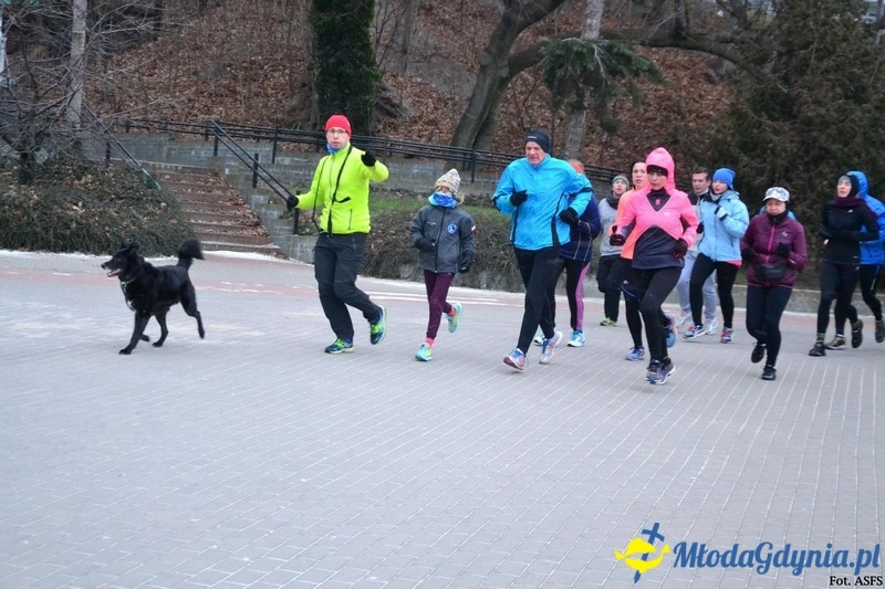 Parkrun Gdynia nr 208