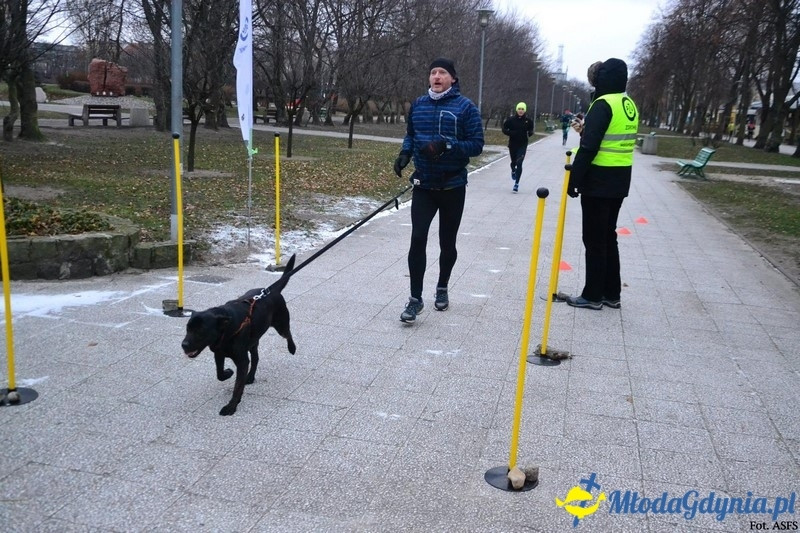 Parkrun Gdynia nr 208