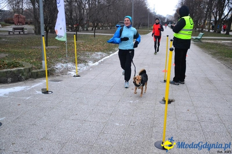 Parkrun Gdynia nr 208
