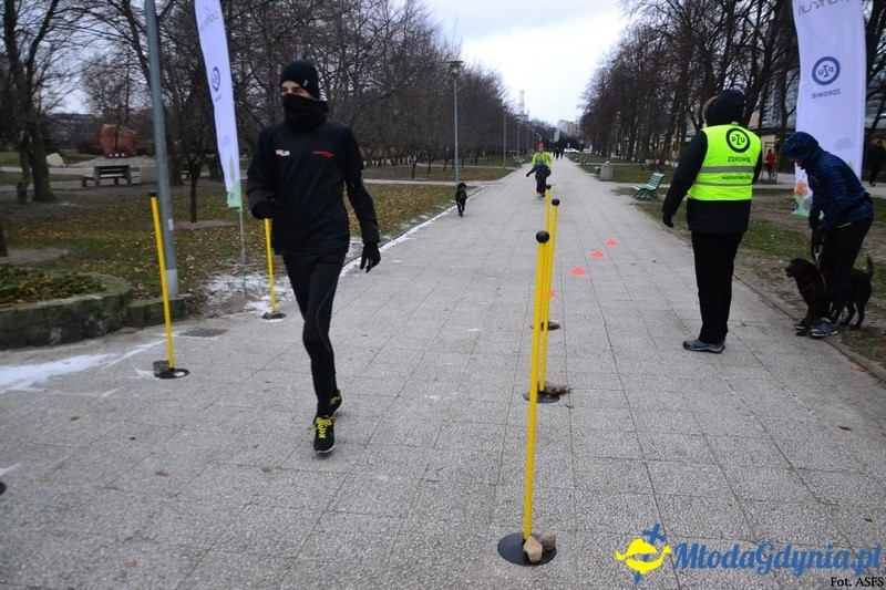 Parkrun Gdynia nr 208