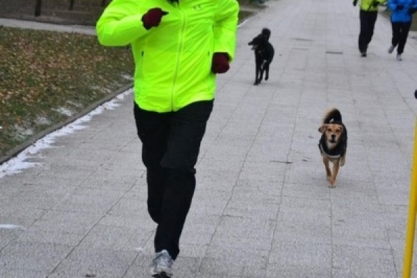 Parkrun Gdynia nr 208