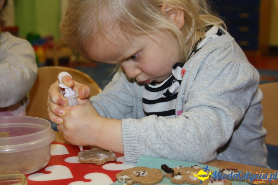 MDK - grudzień 2015