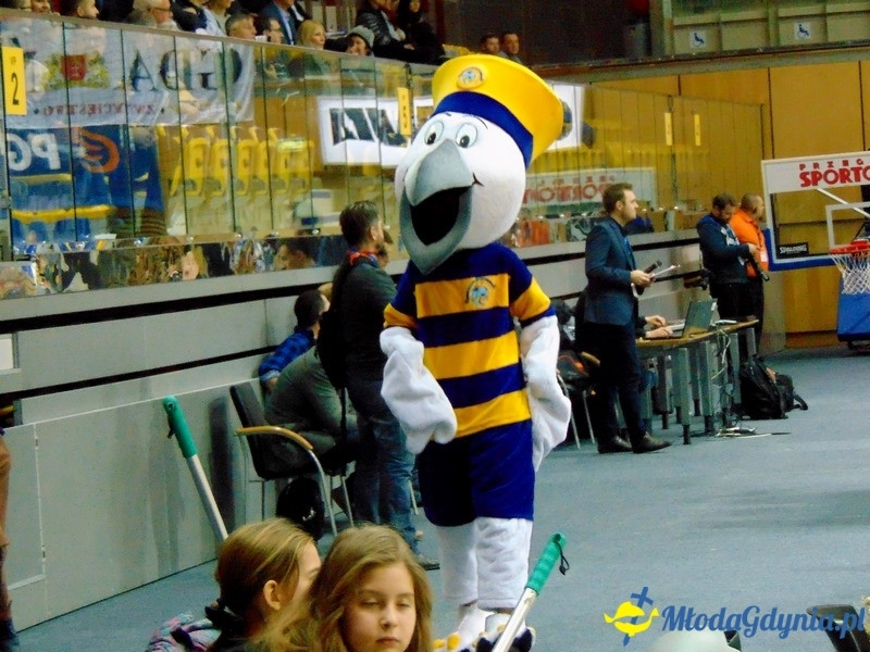 VISTAL GDYNIA ? AZS ŁĄCZPOL AWFIS GDAŃSK