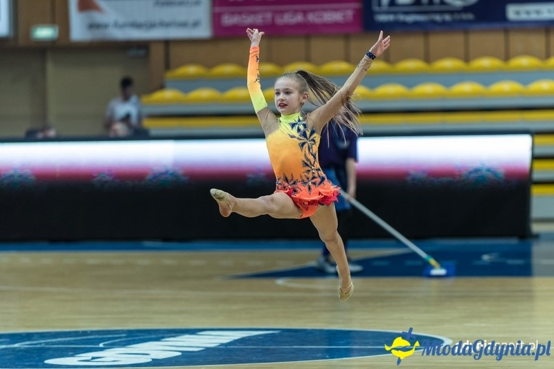 Basket Gdynia ? Olimpia Grodno EEWBL