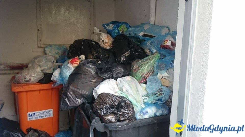 Śmieci w Gdyni po świętach 2015