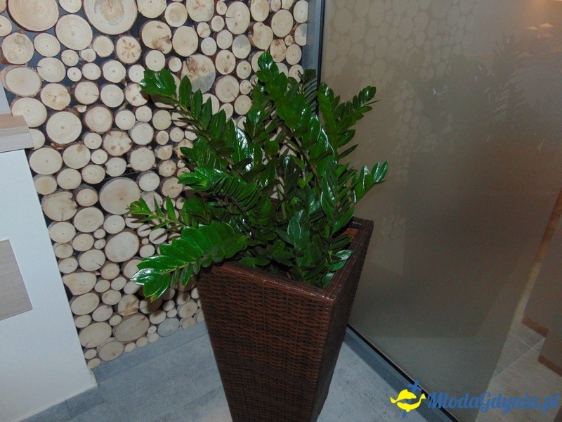 Tiger Gym w Centrum Riviera - wielkie otwarcie