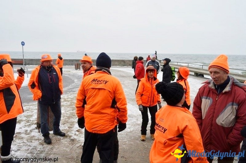 WOŚP 2016 - Morsy Gdynia