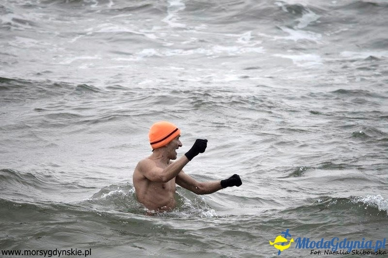 WOŚP 2016 - Morsy Gdynia