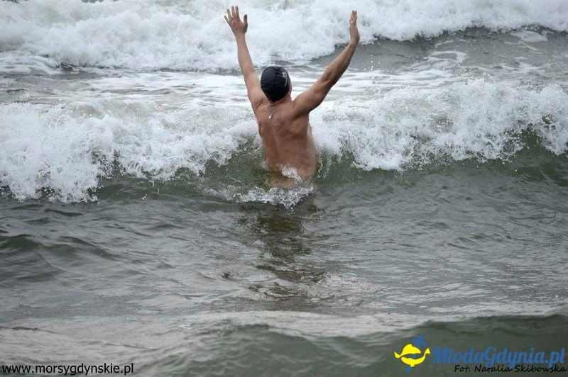 WOŚP 2016 - Morsy Gdynia