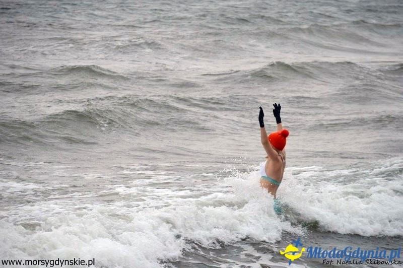 WOŚP 2016 - Morsy Gdynia