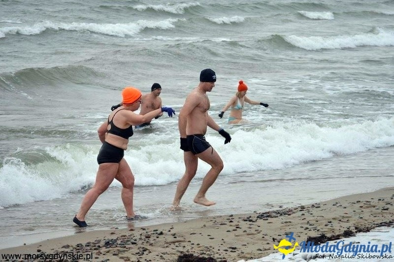 WOŚP 2016 - Morsy Gdynia