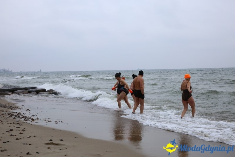 WOŚP 2016 - Morsy Gdynia