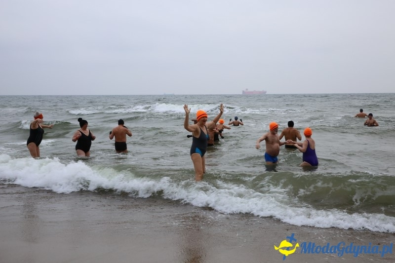 WOŚP 2016 - Morsy Gdynia