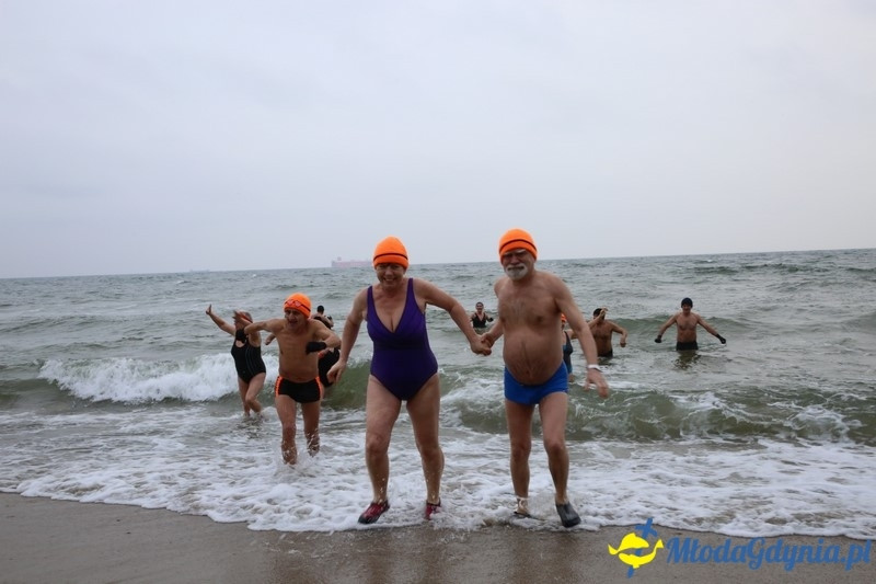 WOŚP 2016 - Morsy Gdynia