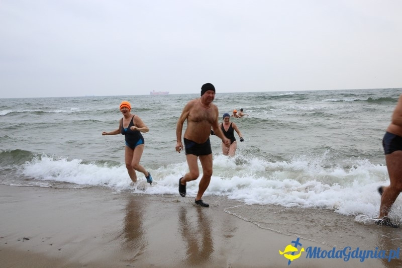 WOŚP 2016 - Morsy Gdynia