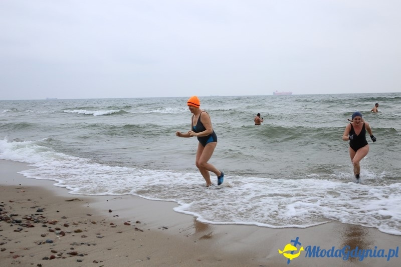 WOŚP 2016 - Morsy Gdynia