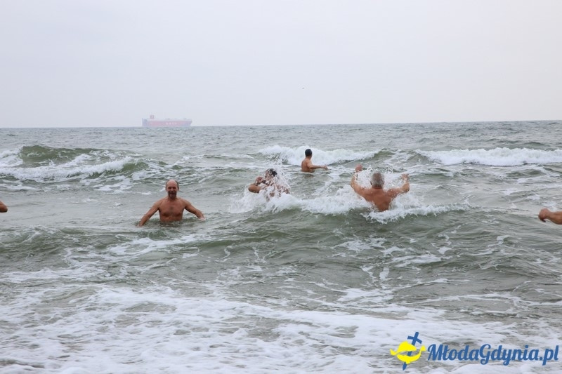 WOŚP 2016 - Morsy Gdynia