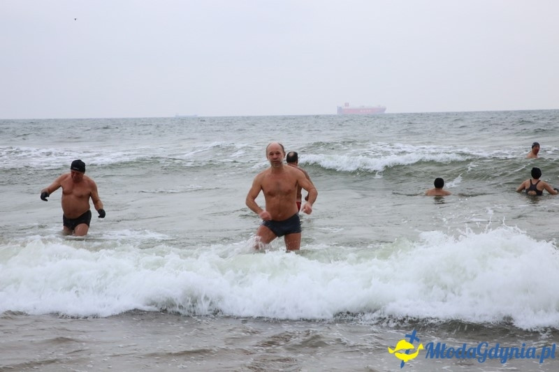 WOŚP 2016 - Morsy Gdynia