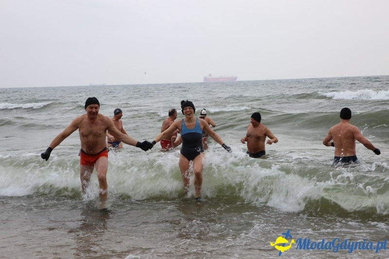 WOŚP 2016 - Morsy Gdynia