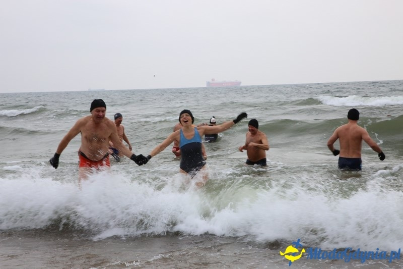 WOŚP 2016 - Morsy Gdynia