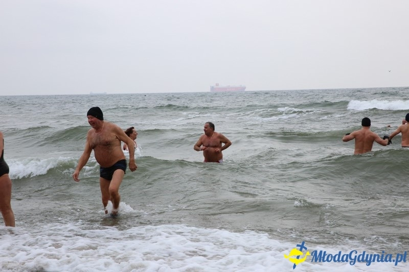 WOŚP 2016 - Morsy Gdynia