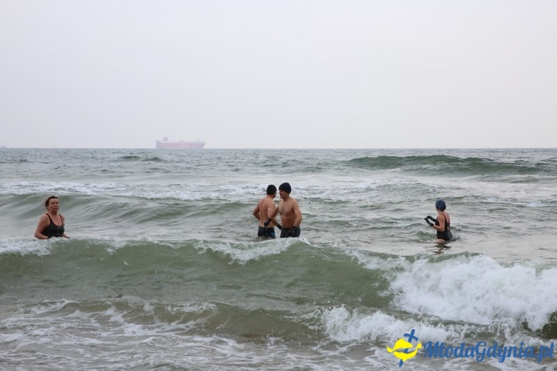 WOŚP 2016 - Morsy Gdynia