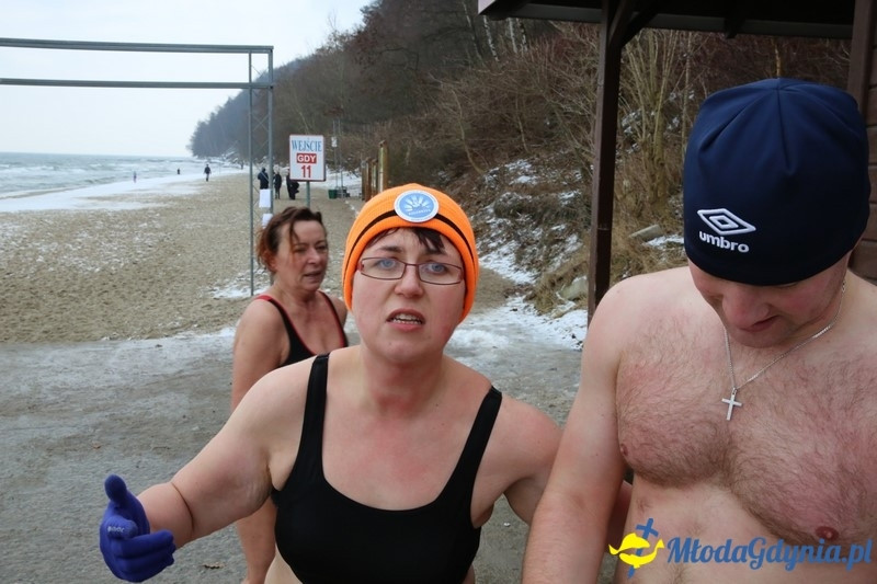 WOŚP 2016 - Morsy Gdynia