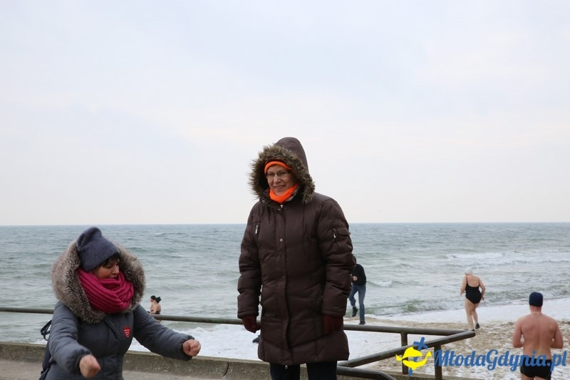 WOŚP 2016 - Morsy Gdynia