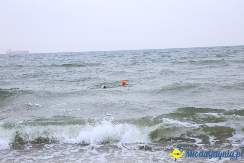 WOŚP 2016 - Morsy Gdynia