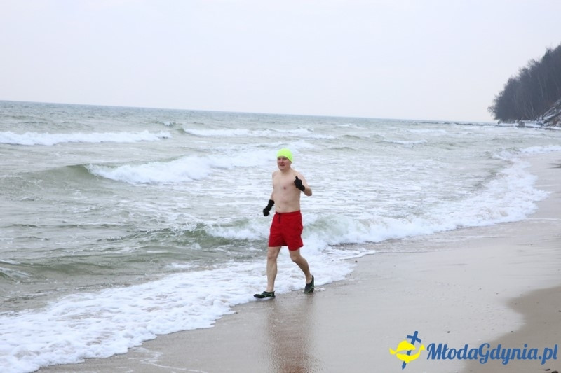 WOŚP 2016 - Morsy Gdynia