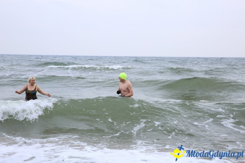 WOŚP 2016 - Morsy Gdynia