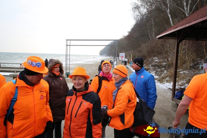 WOŚP 2016 - Morsy Gdynia