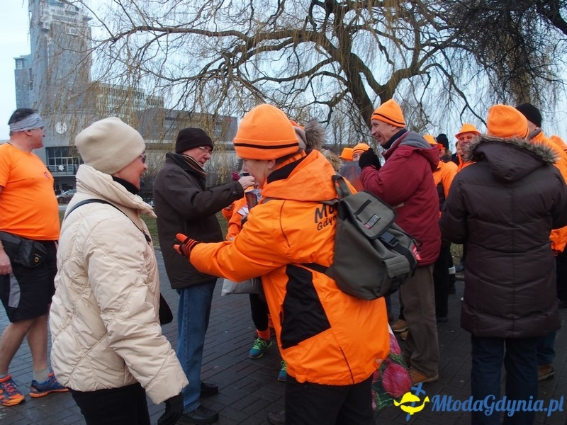 WOŚP 2016 - Morsy Gdynia