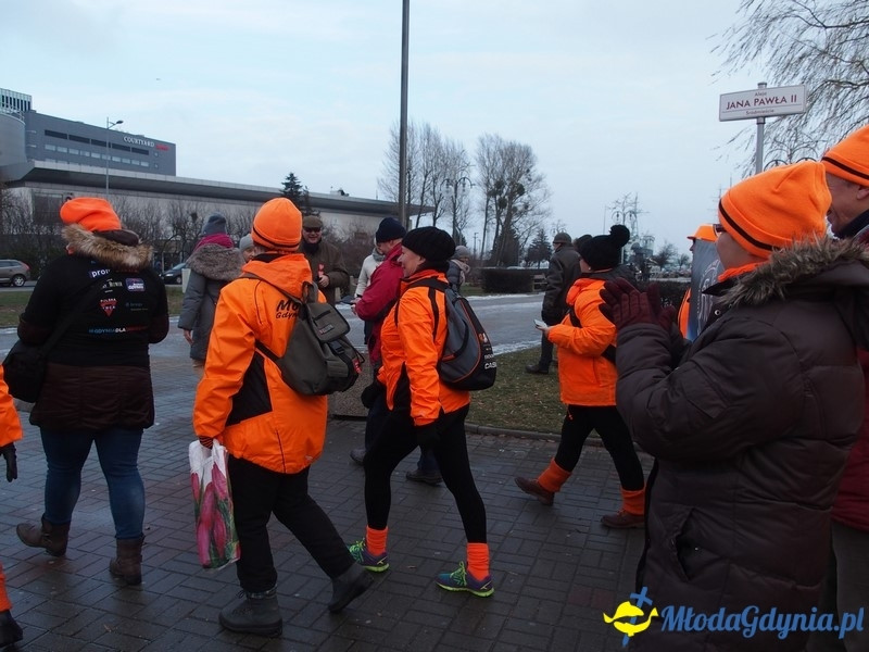 WOŚP 2016 - Morsy Gdynia