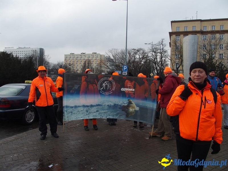 WOŚP 2016 - Morsy Gdynia